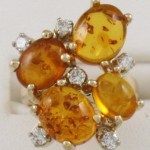 amber ring 2012 (a)