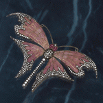butterfly_o