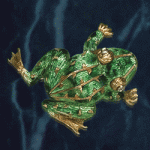 frog_g