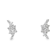 Forever Storm 14kt White Gold Diamond Cluster Earrings