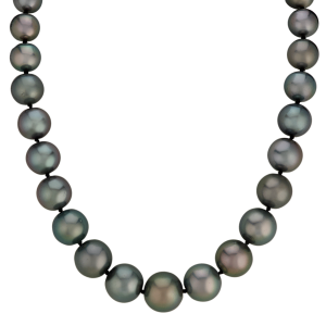 14kt White Gold Tahitian Pearl Strand Necklace