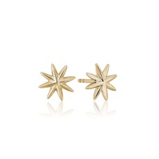 14kt Yellow Gold Petite "brilliant Star" Earrings