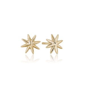 14kt Yellow Gold Petite "brilliant Star" Earrings