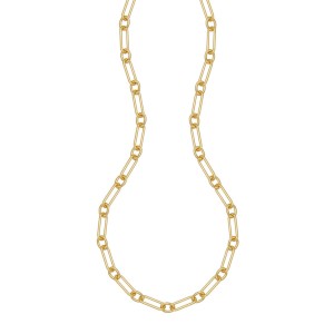 Charles Garnier 14kt Yellow Gold-plated Sterling Silver 17" Round And Oblong Link Necklace