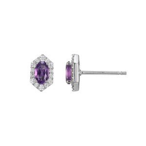 Charles Garnier Sterling Silver Amethyst And Cubic Zirconia Halo Stud Earrings